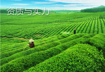 资质与实力