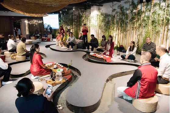 深圳茶博会前夕，赴一场茶王的约会